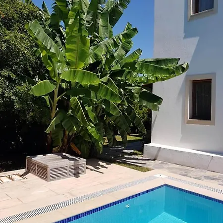Santa Mareen Villa *